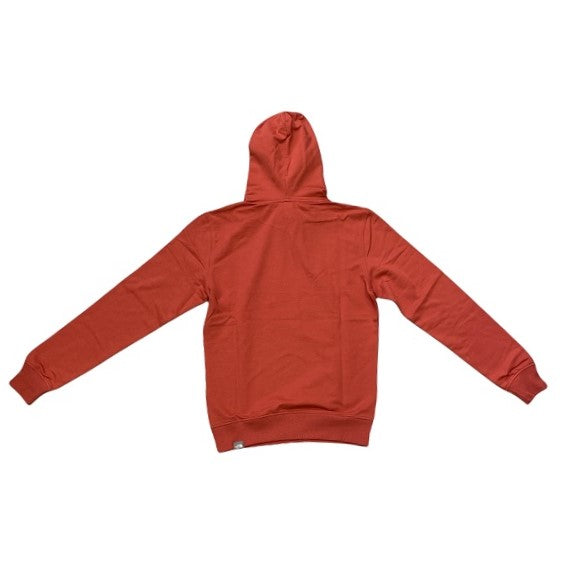 The North Face Seasonal Drew Men's Hoodie NF0A2S57UBR1 red